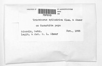 Image Associated With the Occurence